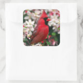 Sticker Carré Cardinal des hommes rouges (Sac)