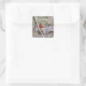 Sticker Carré Cardinal vibrant (Sac)