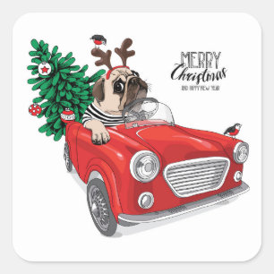 Sticker Carré Carlin du Joyeux Noël conduisant la voiture