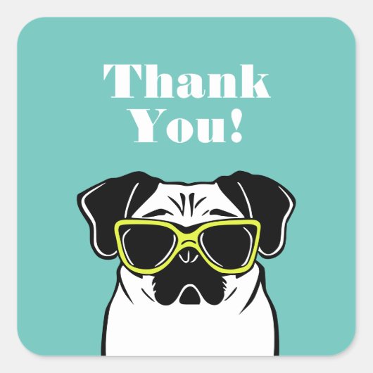 Sticker Carré Carlin intelligent (Devant)