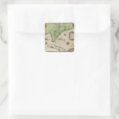 Sticker Carré Carte de Floride, de 'Brevis Narratio' (Sac)