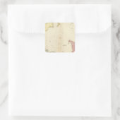 Sticker Carré Carte de l'hémisphère Sud (Sac)