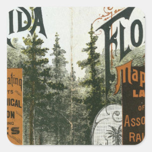 Sticker Carré Carte des cantons, Floride