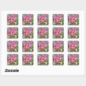 Sticker Carré Carte postale de fleurs de hollyhocks roses (Feuille)