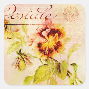 Sticker Carré Carte postale vintage de fleur de sansy