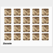 Sticker Carré Carte vintage (Feuille)