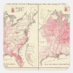 Sticker Carré Cartes de vitalité des Etats-Unis