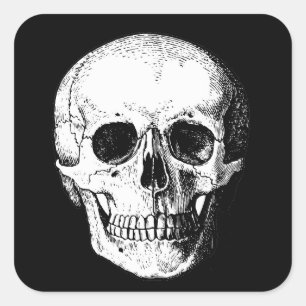 Sticker Carré Cartons crâniens