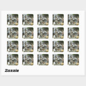 Sticker Carré Cascade (Feuille)
