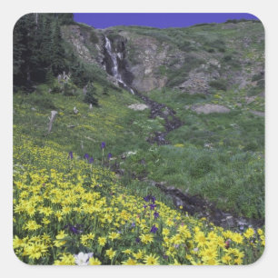 Sticker Carré Cascade et fleurs sauvages dans la prairie alpine,