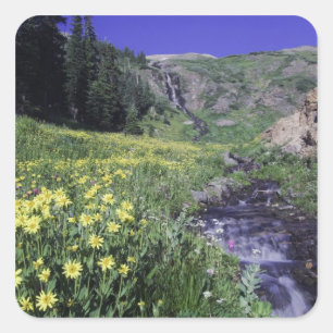 Sticker Carré Cascade et fleurs sauvages dans un pré alpin, 2
