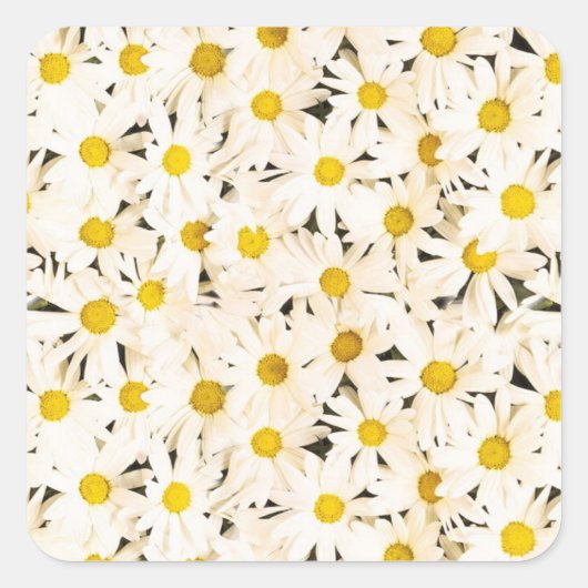 Sticker Carré Casseroles blanches personnalisées Blank tendance (Devant)