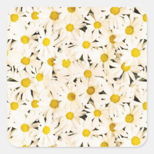 Sticker Carré Casseroles blanches personnalisées Blank tendance 