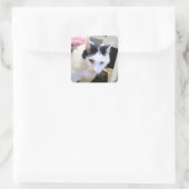 Sticker Carré Cat (Sac)