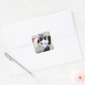 Sticker Carré Cat (Enveloppe)