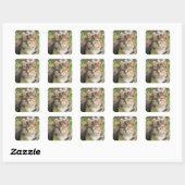 Sticker Carré Cat (Feuille)