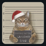 Sticker Carré Cat Christmas<br><div class="desc">kitten mugshot christhot, santa gangster holiday, merry claus decembre humor, a xmas cool theft, guilty x-mas jail, cute crime saines, </div>