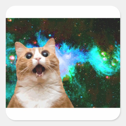 STICKER CARRÉ CAT GALAXY (Devant)