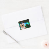 STICKER CARRÉ CAT GALAXY (Enveloppe)
