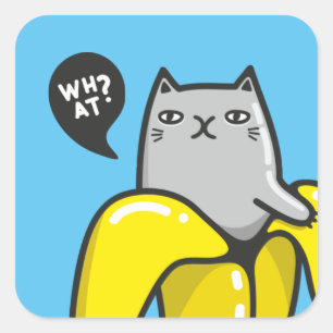 Sticker Carré Cat in banana