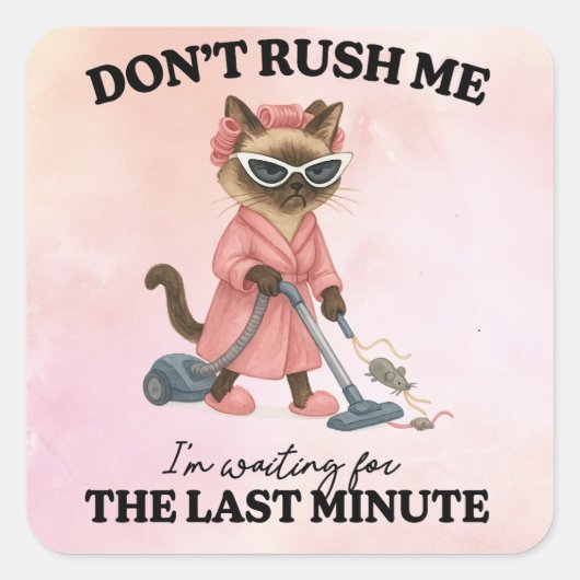 Sticker Carré Cat is cleaning house (Devant)