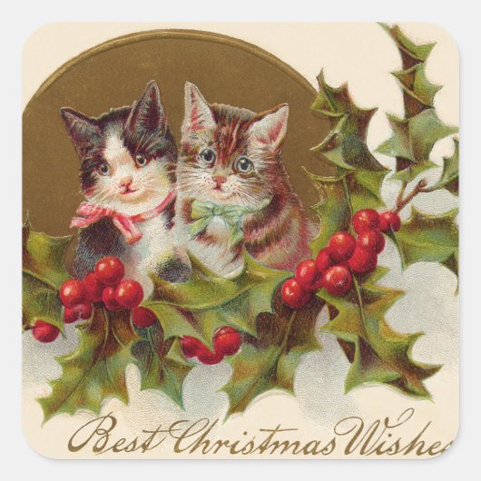 Sticker Carré Cat Kitten Holly Winterberry (Devant)