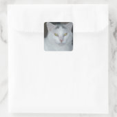 Sticker Carré Cat Thoughts Chat blanc (Sac)