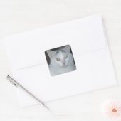 Sticker Carré Cat Thoughts Chat blanc (Enveloppe)