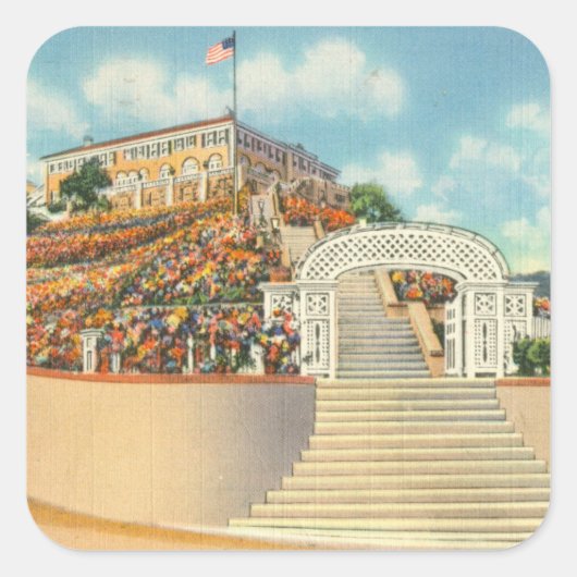 Sticker Carré Catalina (Devant)