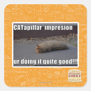 Sticker Carré CATapillar