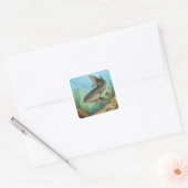 Sticker Carré Catfish (Enveloppe)
