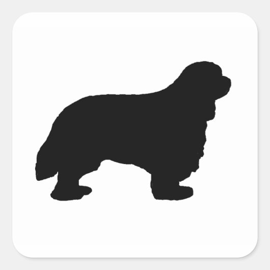 Sticker Carré Cavalier King Charles silo noir (Devant)