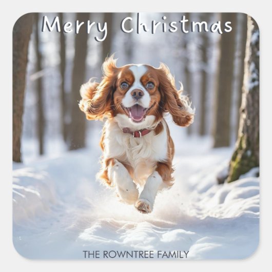 Sticker Carré Cavalier King Charles Spaniel Neige Joyeux Noël (Devant)