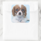 Sticker Carré Cavalier King Charles Spaniel Puppy (Sac)