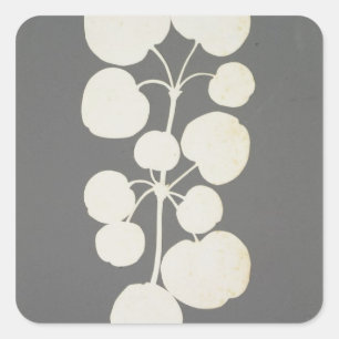 Sticker Carré Cayenne Pepper