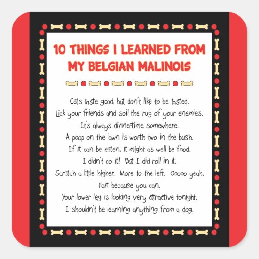 Sticker Carré Ce Que J'Ai Appris De Mes Malinois Belges (Devant)