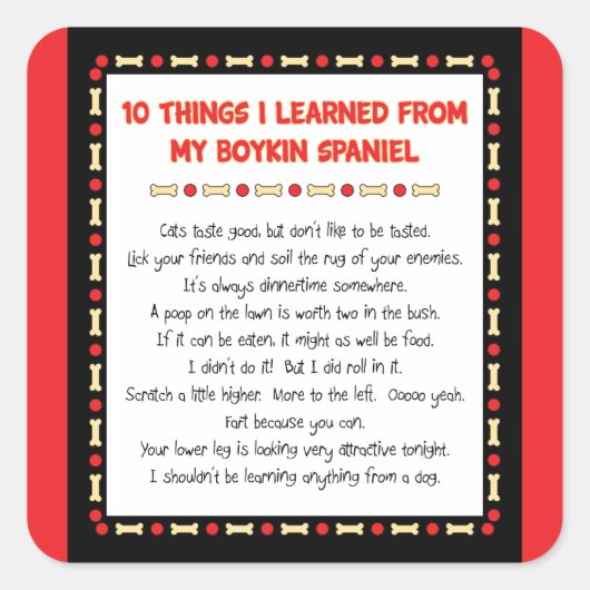 Sticker Carré Ce Que J'Ai Appris De Mon Boykin Spaniel (Devant)