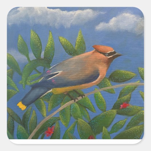 Sticker Carré Cedar Waxwing (Devant)
