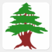 Sticker Carré Cèdre du Liban (Devant)