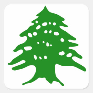 Sticker Carré Cèdre vert / Cèdre du Liban