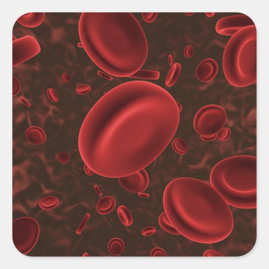 Sticker Carré Cellules de sang rouges (Devant)