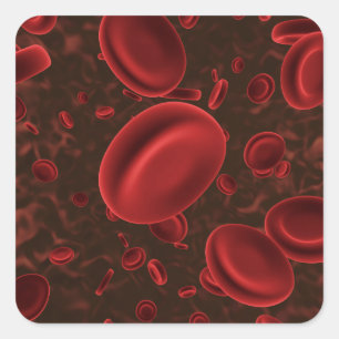 Sticker Carré Cellules sanguines rouges microscopiques