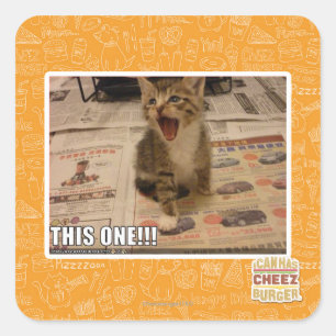 Sticker Carré Celui-ci !