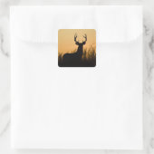 Sticker Carré cerf à queue blanche Odocoileus virginianus) (Sac)