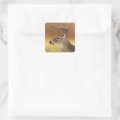 Sticker Carré Cerf à queue blanche, Odocoileus virginianus, (Sac)