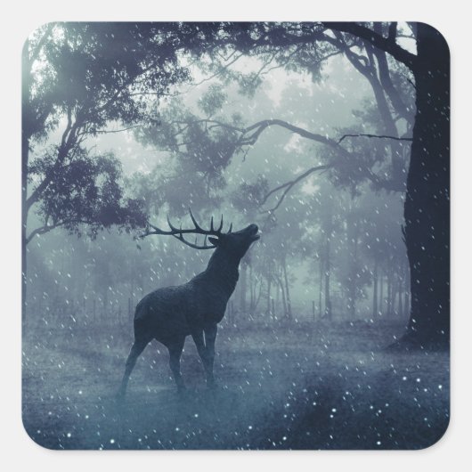 Sticker Carré Cerf avec Antlers dans une forêt ombragée (Devant)