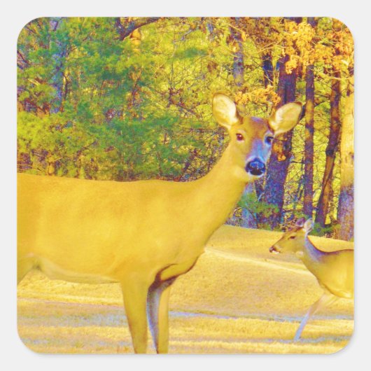 Sticker Carré Cerf de couleur moutarde avec bleu clair (Devant)