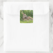 Sticker Carré Cerf de Virginie (Odocoileus virginianus) (Sac)