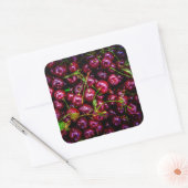 Sticker Carré Cerises (Enveloppe)