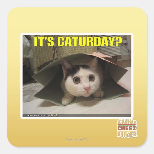Sticker Carré C'est Caturday ? (Devant)